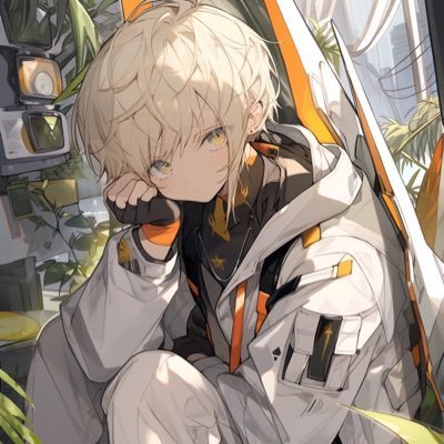 甲斐