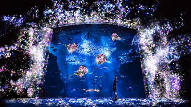 お泊まりにビアガーデン! この夏、絶対行きたい水族館イベント8選