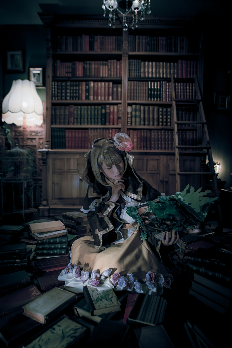 本を読む「シノアリス」いばら姫