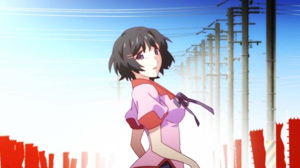 猫物語（白）　キュート