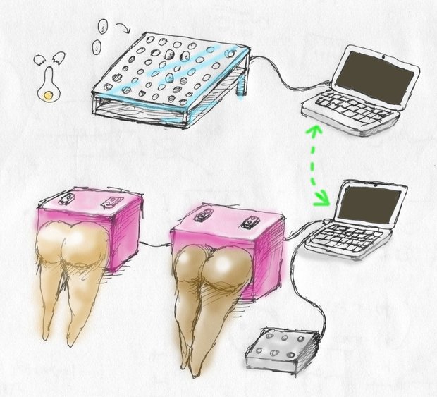 セクハラシステム