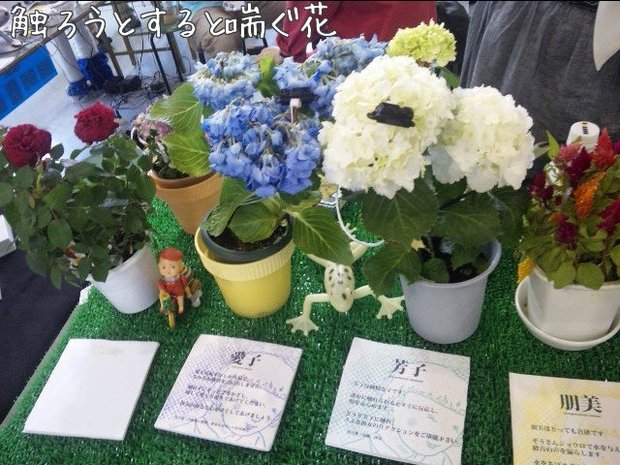 喘ぐ花風景