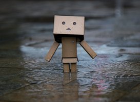 愛くるしいダンボー