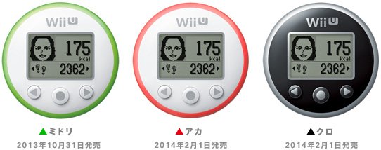 フィットメーター