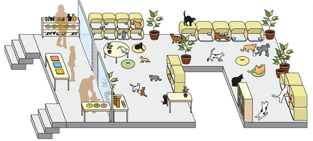 開放型シェルター