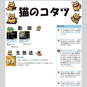 猫のコタツ