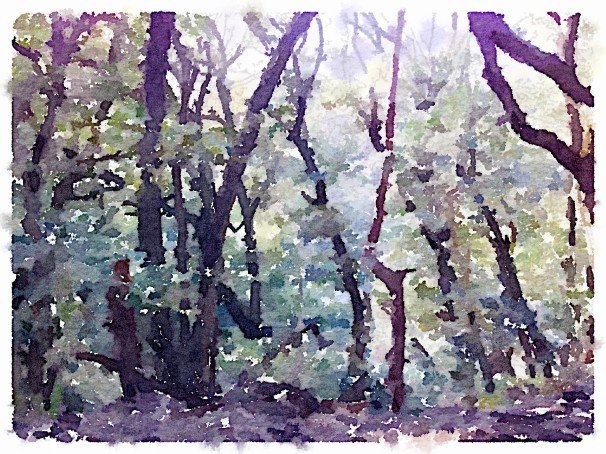 Waterlogue
