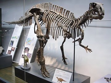 Fukuisaurus