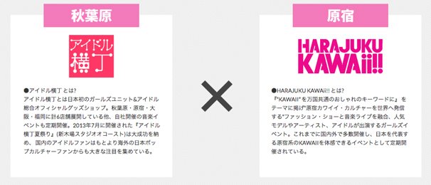 KAWAii!!-NiPPON-EXPO-2014