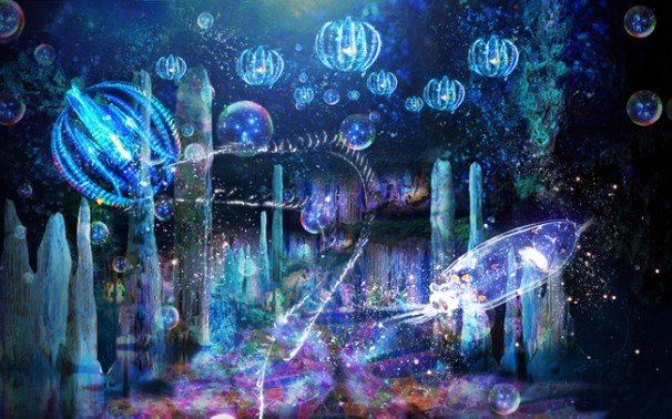 ナイトアクアリウム