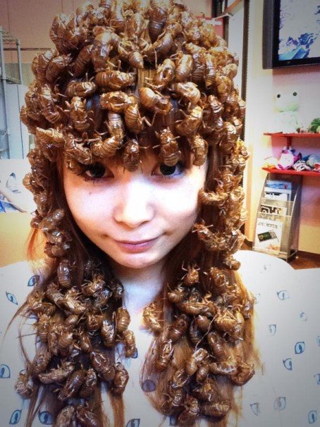 セミの抜け殻を纏ったしょこたん