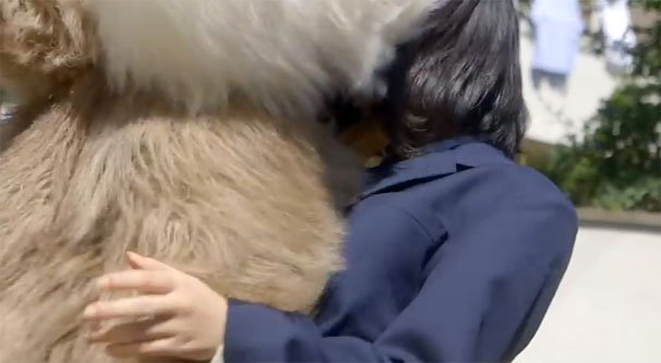 なんかにぶつかった！