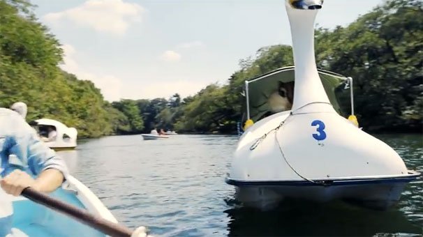 近づいてきたのは・・・