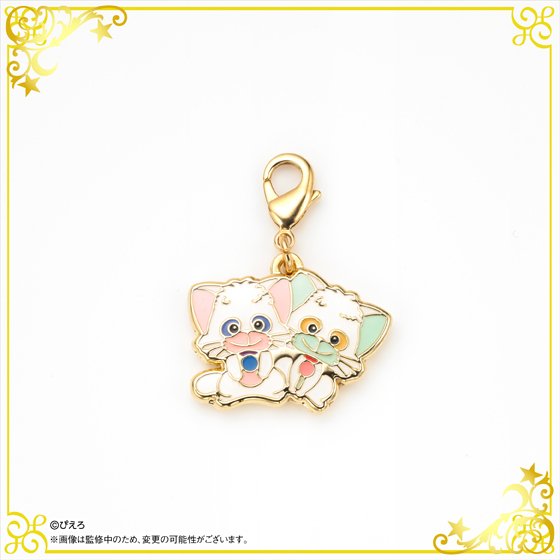 ネガ・ポジチャーム