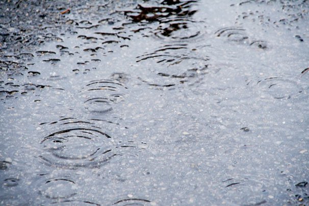 雨