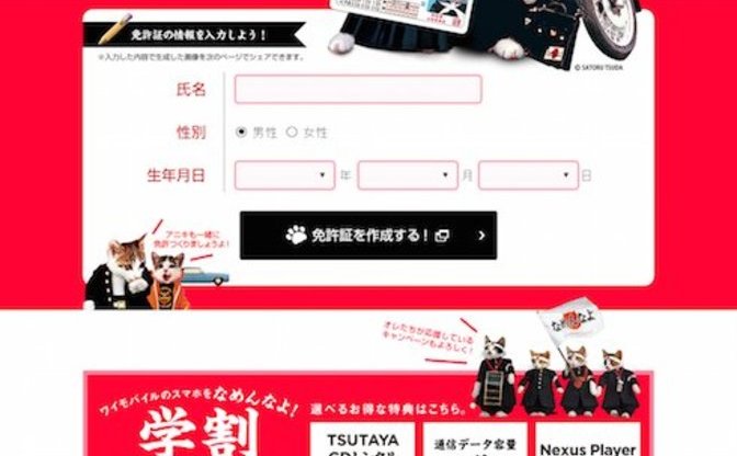 一世を風靡した なめ猫 の免許ジェネレーターが反則的に可愛い Kai You Net