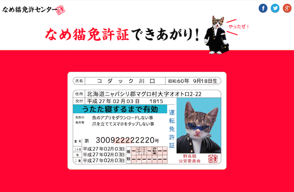 コダック川口のなめ猫免許証