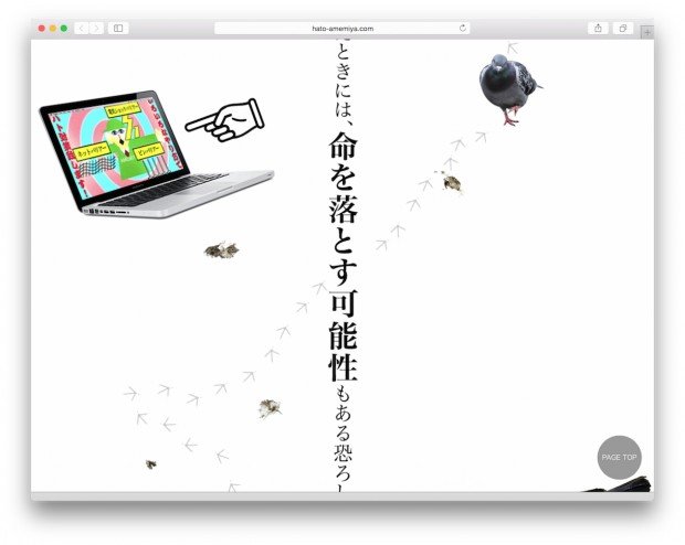 画像2: ハトに困ったら雨宮〜！ ハト駆除会社のCMが最高にポップでクレイジー