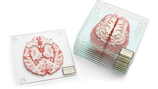 Brain Specimen Coasters／ThinkGeekより