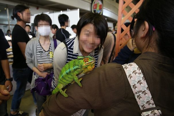 動物たちとのふれあいも楽しめる