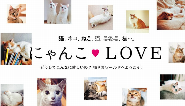 画像はan・an公式Webサイトより