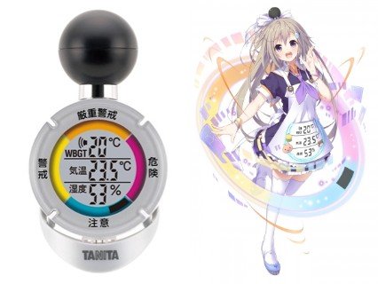 黒球式熱中症指数計 TT560