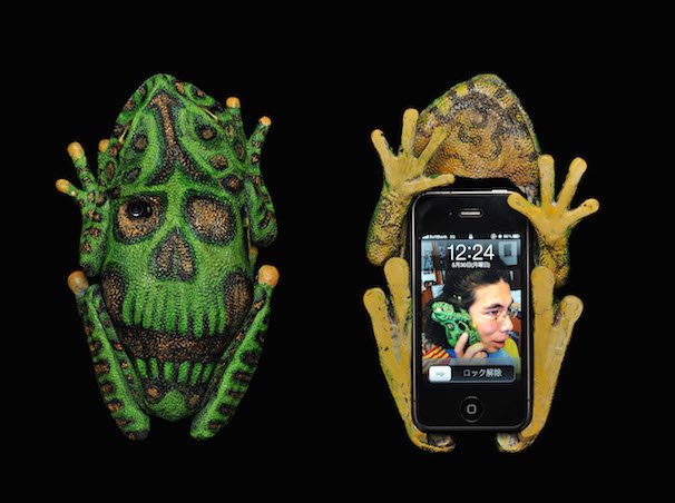 カエルちゃん2011