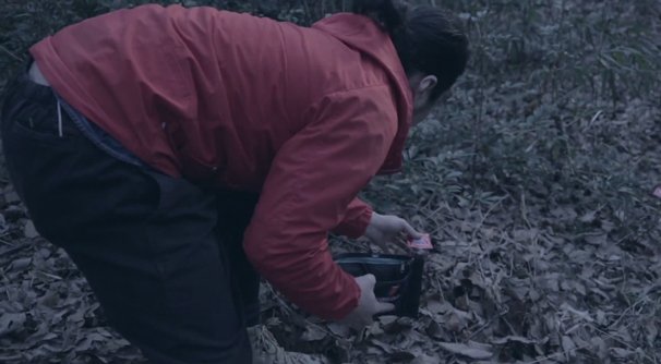 画像はスクリーンショットより