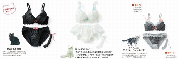 前作「毎日こっそりなりきりにゃんこ ふっくらまあるい愛され胸ブラ&ショーツの会」