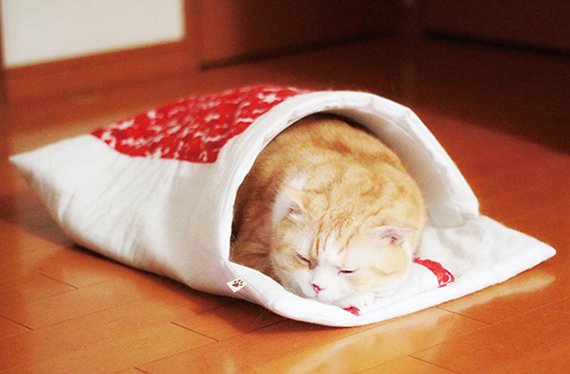 おやすみニャン かわいい寝姿を自慢できる 猫用和布団の会2の画像 Kai You Net