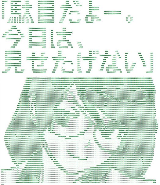 ソースコード