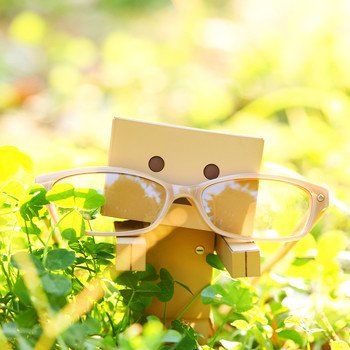 PCメガネ「Danboard Computer Glasses」1