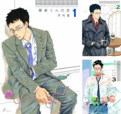 [まとめ買い] 関根くんの恋 Kindle版
