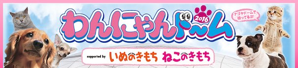 わんにゃんドーム2016 | テレビ愛知Webサイトより