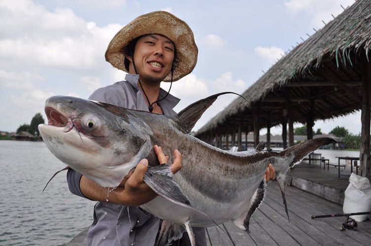 世界の怪魚写真展 日本を代表する怪魚ハンターによる動画や剥製も Kai You Net