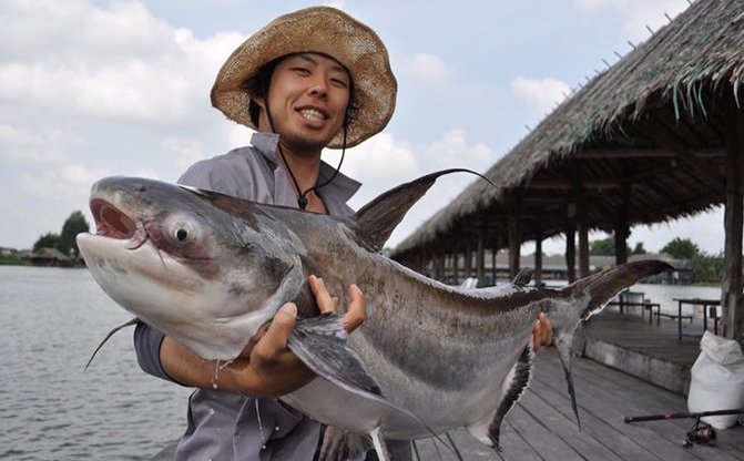 世界の怪魚写真展 日本を代表する怪魚ハンターによる動画や剥製も Kai You Net