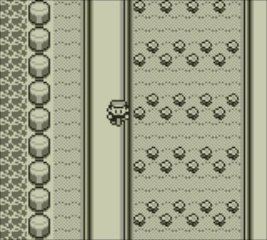 『ポケットモンスター赤・緑』ゲーム画面 3