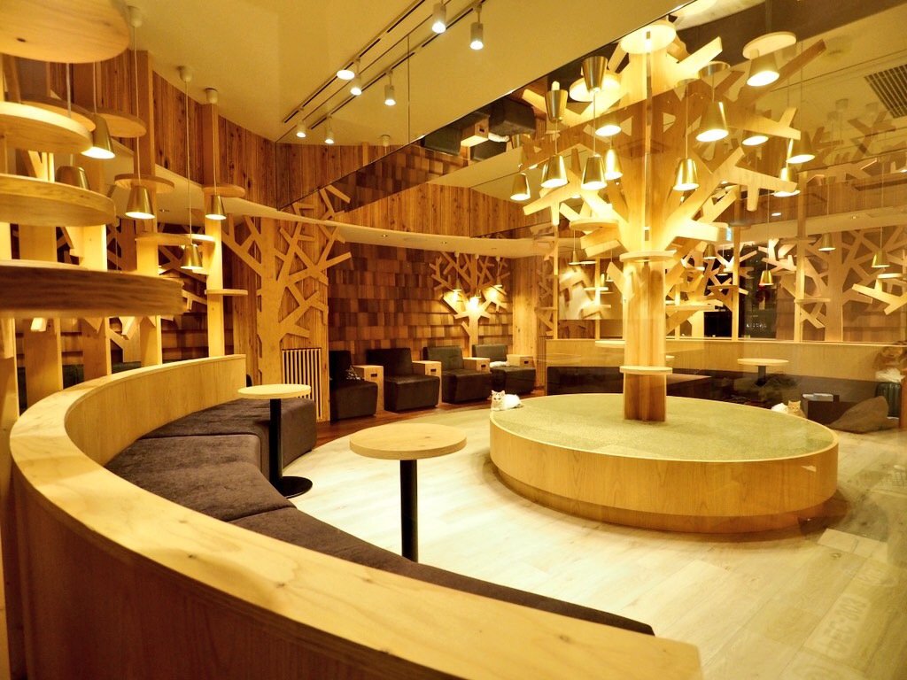 猫カフェ「MoCHA」池袋店