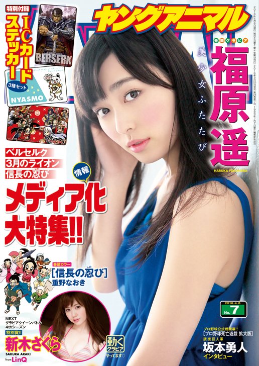 ヤングアニマル7号表紙