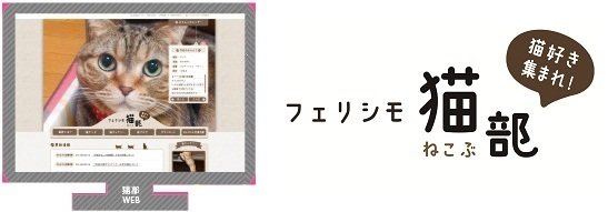 「フェリシモ猫部」