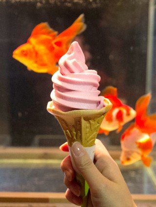 金魚ソフトクリーム／すみだ水族館Webサイトより
