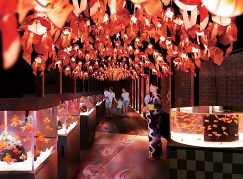日本最大の金魚展「お江戸の金魚ワンダーランド」すみだ水族館で夏祭り