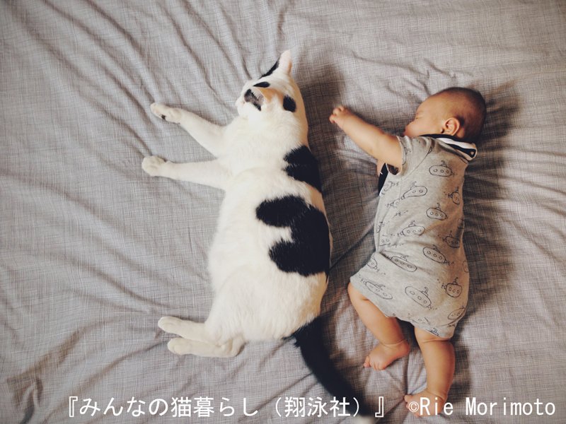 みんなの猫暮らし 家族と猫の、いとおしい日々。