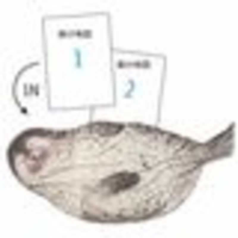 You More アザラシのおなかをパンパンにする のび るきんちゃくの会 フェリシモの画像 Kai You Net