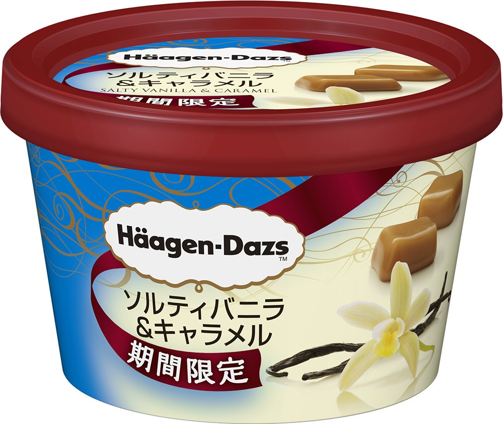 ハーゲンダッツ ミニカップ ソルティバニラ＆キャラメル （期間限定） 2