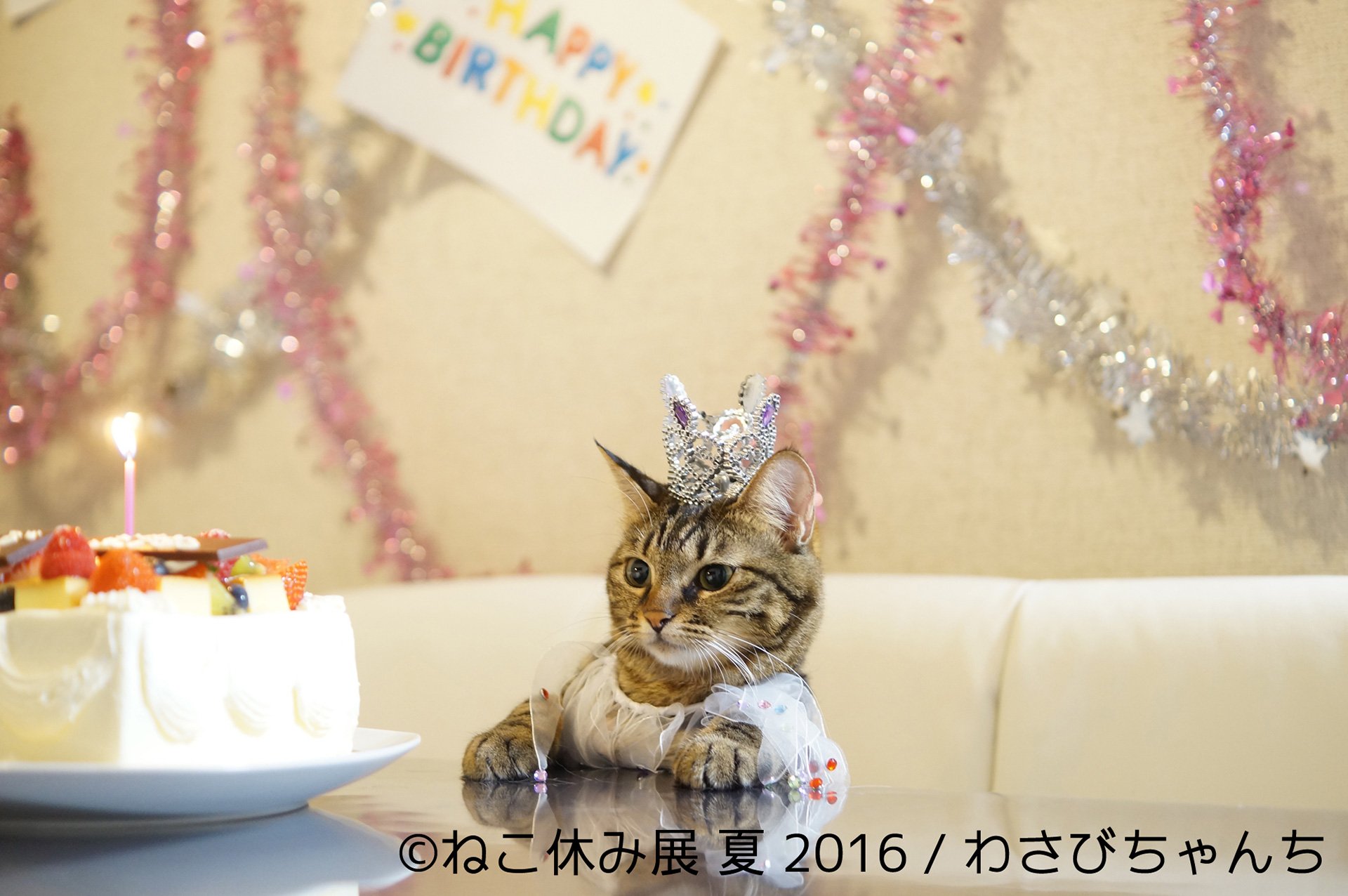 わさびちゃんち 2