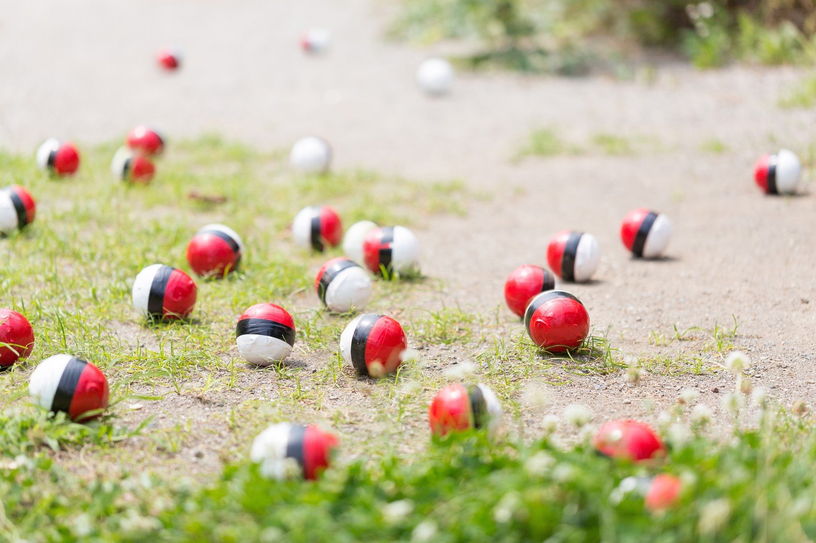 紅白ボールの人気がメディアに紹介される／フリー写真素材・無料ダウンロード-ぱくたそ 1