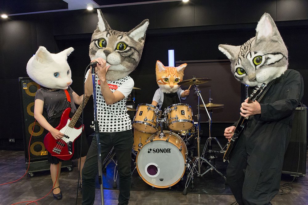 リアル猫ヘッド 4