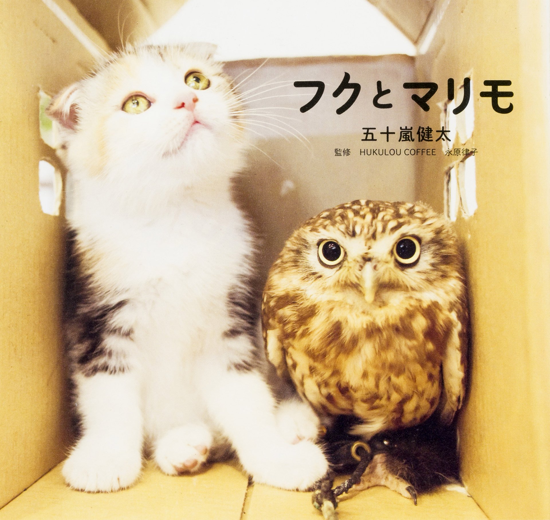 写真集『フクとマリモ』