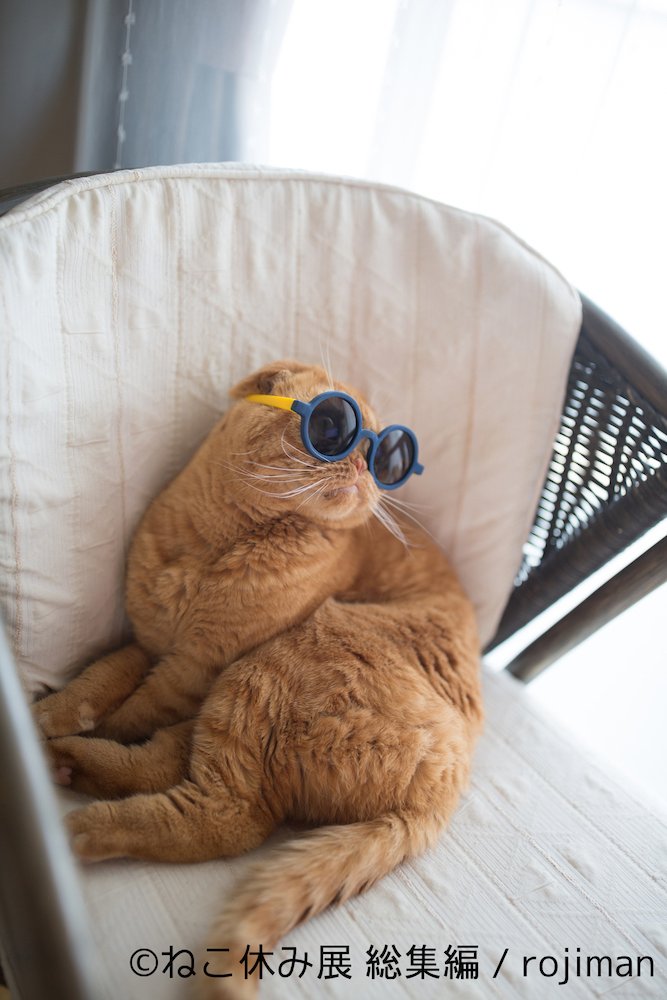 「ねこ休み展 総集編」展示予定作品 3